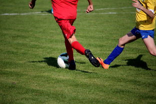 开云官网-国家女篮训练日程公开每日训练内容紧张高效，国家队女篮在哪里训练